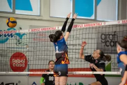 dsc_0663.webp