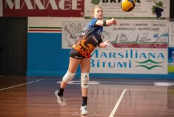 dsc_0698.webp