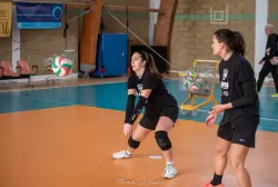 dsc_1258.webp