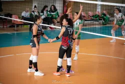 dsc_1391.webp