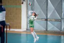 dsc_1393.webp