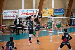 dsc_1559.webp