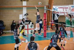 dsc_1581.webp