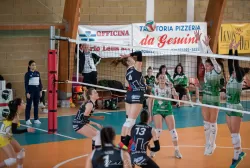 dsc_1584.webp