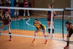 dsc_1638.webp