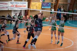 dsc_1660.webp