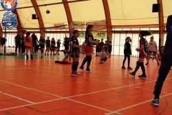 4454.webp