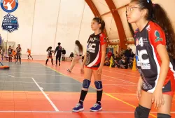 yy654.webp