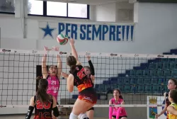 433964340_912540120881069_1742440594680127372_n.webp