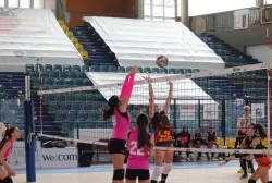433978225_912536764214738_3952653939082422415_n.webp