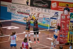 dsc_3886.webp