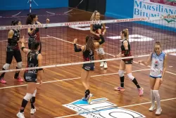 dsc_3940.webp