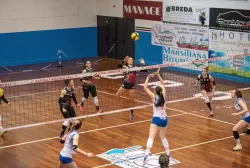 dsc_3947.webp