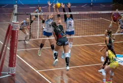 dsc_4041.webp
