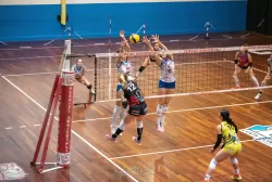 dsc_4067.webp