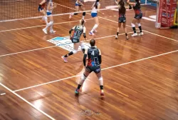 dsc_4103.webp