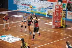 dsc_4193.webp