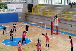 222222222222.webp