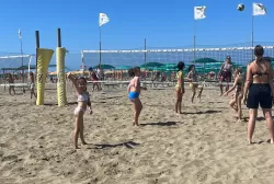 ttttg.webp