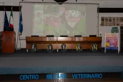 pallavolo-grosseto-b2-7.webp