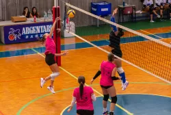 dsc0105.webp