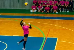 dsc0153.webp