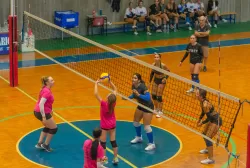 dsc0173.webp