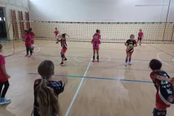 462407138_1065717388887237_8222791082278988890_n.webp