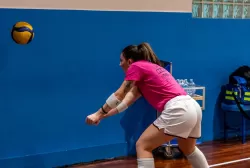 dsc3124.webp