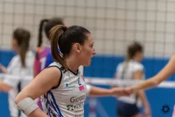 dsc3243.webp