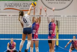 dsc3347.webp