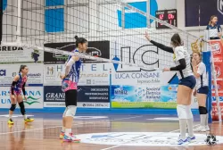 dsc3383.webp