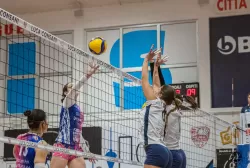 dsc3392.webp