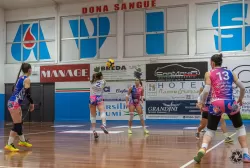 dsc3397.webp