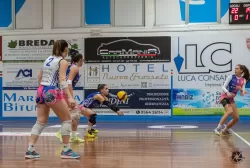 dsc3428.webp
