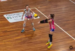 dsc3483.webp
