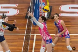 dsc3484.webp