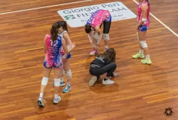 dsc3533.webp