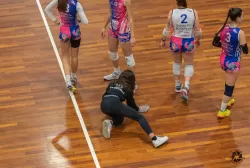 dsc3539.webp