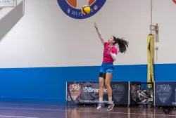 dsc5949.webp