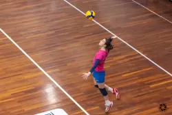dsc6040.webp