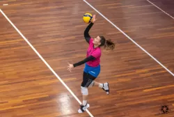dsc6042.webp