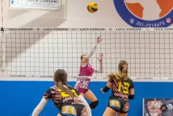 dsc6195.webp