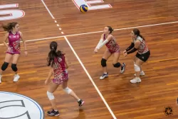 dsc6265.webp