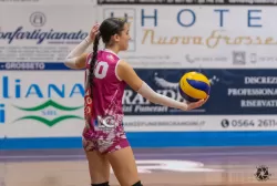 dsc6300.webp