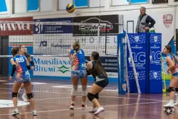 dsc6420.webp