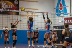 dsc6421.webp