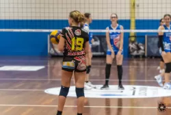 dsc6464.webp