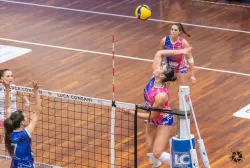 dsc7131.webp