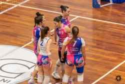 dsc7185.webp